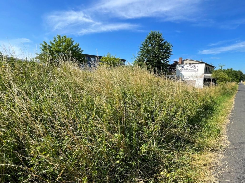 Grundstück (2)