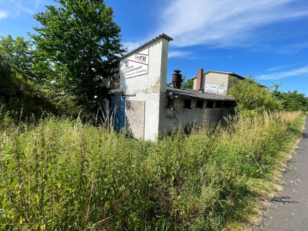 Seitenansicht (3)