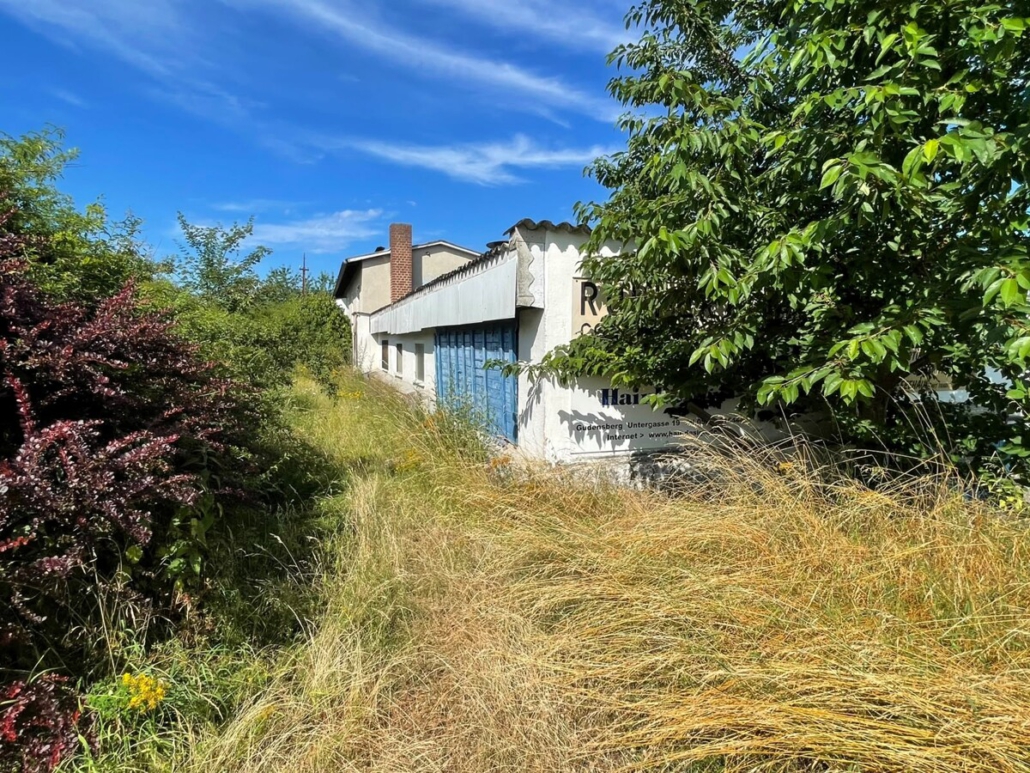 Seitenansicht (4)