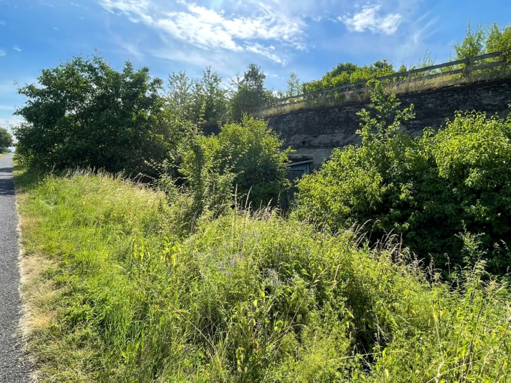 Seitenansicht (5)